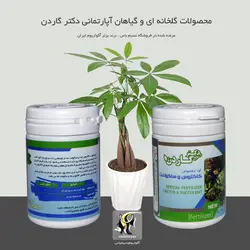 کود مخصوص کاکتوس و ساکولنت دکتر گاردن
