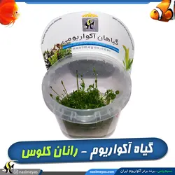 گیاه رانان کلوس آکواریوم پلنت کد 646