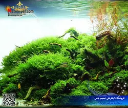 مهتابی سفید نسل پرو ادیشن T5 پایلوت