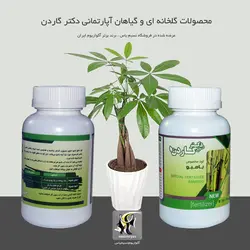 کود مخصوص گیاه بامبو دکتر گاردن