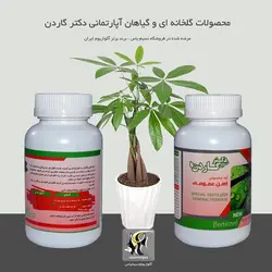 کود آهن گیاهان آپارتمانی دکتر گاردن