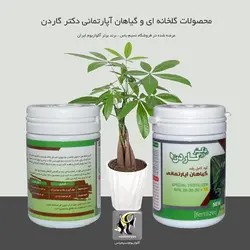 کود کامل رشد گیاهان آپارتمانی 3 بیست NPK دکتر گاردن