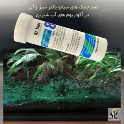 قرص ضد جلبک سیانو باکتر سبز و آبی دکتر تانک