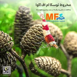 محافظت کننده آب آکواریوم بلک آلدر کونس ام اف آکوا