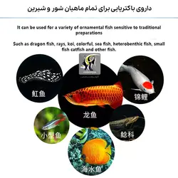 داروی ضد عفونت های باکتریایی آبزیان بایوزیم