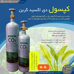 کپسول CO2 فلزی آکواریوم 3 لیتری گرینر