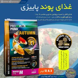 غذای گرانول متوسط پائیزی ماهی کوی جی بی ال