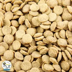 غذای گرانول متوسط پائیزی ماهی کوی جی بی ال