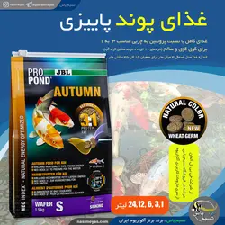 غذای گرانول کوی پائیزی اسمال جی بی ال
