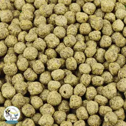 غذای کوی پوند سامر اسمال جی بی ال