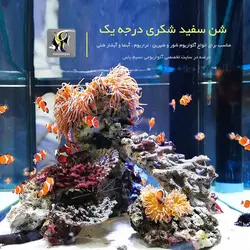 شن سفید شکری آکواریوم و تراریوم ام اف آکوا