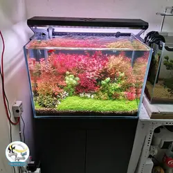 سیستم ال ای دی فول کنترل آکواریوم P600 پرو ویک آکوا