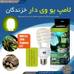 لامپ یو وی دار UVB 5 خزندگان و تراریوم ۲۶ وات لاکی هرپ