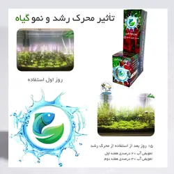 ست محرک رشد و نمو گیاهان آبزی آکواریوم
