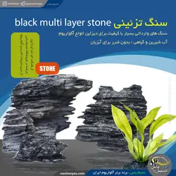 سنگ آکواریوم مدل بلک مولتی لیر استون ای دی ای ADA