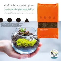 بستر کاشت گیاه تروپیکال ریور سویل 2.5 کیلوگرم دووا