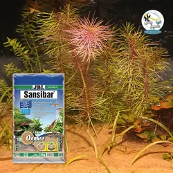 بستر شن سانسی بار نارنجی جی بی ال