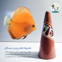 مخروط تخم ریزی دیسکس و آنجل دیسکان
