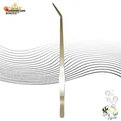 پنس سرخم کاشت و دیزاین گیاه آکواریوم اکوگر