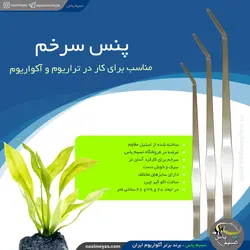 پنس سرخم کاشت و دیزاین گیاه آکواریوم اکوگر