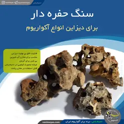 سنگ حفره دار دیزاین آکواریوم