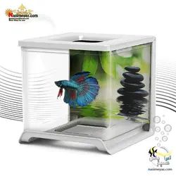 مینی آکواریوم ماهی فایتر سفید 02 هایلا