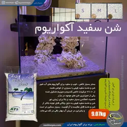 شن سفید فیجی آب شور سایز لارج ای تی آی