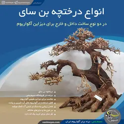درختچه بن سای دست ساز دیزاین آکواریوم