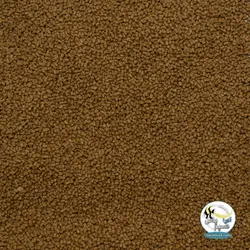 غذای روزانه کوی 2 میل 2 کیلوگرم ام اف آکوا