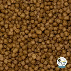 غذای روزانه کوی 5 میل 4 کیلوگرم ام اف آکوا