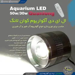 نور دیپ مشترک شور و شیرین QL-50 کوان لانگ