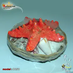 سبد دریایی شامل صدف و ستاره کد B250