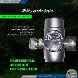 رگلاتور co2 ساده st-06 پرفشنال