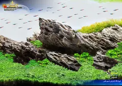 سنگ دراگون کرم رنگ تزئینی آکواریوم