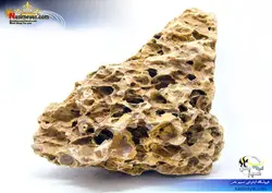 سنگ دراگون کرم رنگ تزئینی آکواریوم