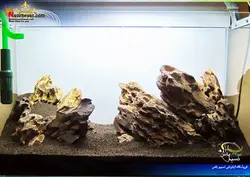 سنگ دراگون کرم رنگ تزئینی آکواریوم