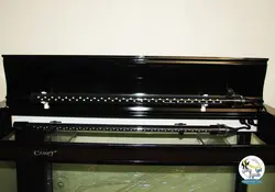 آکواریوم آماده کامل Q5-60GR کمری