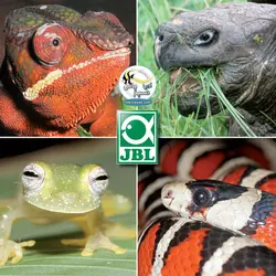 لامپ حرارتی سرامیکی خزندگان و تراریوم رپتایل هیت جی بی ال