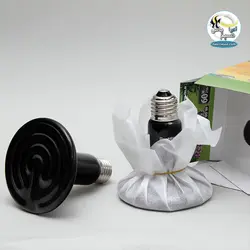 لامپ حرارتی سرامیکی خزندگان و تراریوم رپتایل هیت جی بی ال