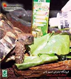 مولتی ویتامین جانوران تراریوم تراویت فلوید جی بی ال