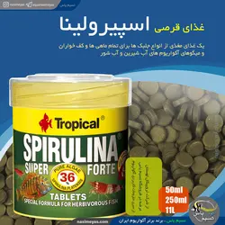 غذای قرصی اسپیرولینا سوپر فورت تروپیکال