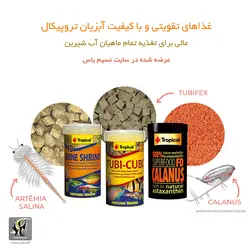 غذای مکعبی توبیفکس توبی کوبی ۱۰۰ میل تروپیکال