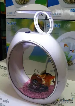 نانو آکواریوم رو میزی Q3 سوبو