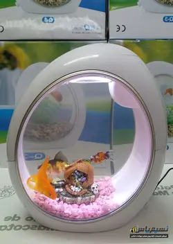 نانو آکواریوم رو میزی Q3 سوبو