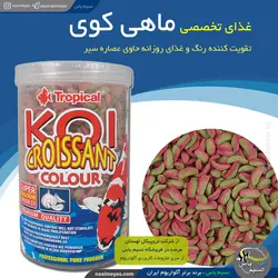 غذای ترکیبی croissant ماهی کوی تروپیکال