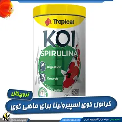 غذای گرانول اسمال کوی اسپیرولینا ماهی کوی تروپیکال