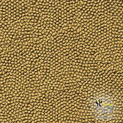 گرانول زمستانی کوی وینتر اسمال جی بی ال