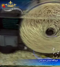 مدیای بایوپلیت حذف فسفات و نیترات بلو تریشور