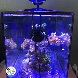 موج ساز کنترل دار SLW-20M آکواریوم جبائو