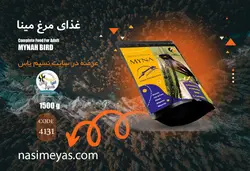 غذای مرغ مینا و پرندگان حشره خوار لوکا